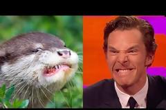 Μπένεντικτ Κάμπερμπατς: Ο αγαπημένος Doctor Strange όπως δεν τον έχετε ξανά δει (Video)