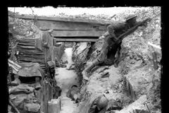 Ιστορία Στ΄ τάξης - Ενότητα Ε΄ - Κεφάλαιο 4ο Η Ελλάδα στον Α΄ Παγκόσμιο Πόλεμο