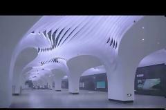 Εκπληκτικό: Λειτουργική ψυχεδέλεια στη γραμμή 14 του μετρό της Σαγκάης