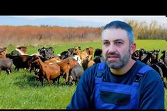 Από γεωπόνος, κτηνοτρόφος - Ο Ανδριανός και το κοπάδι του   (βιντεο )