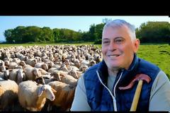 Η ζωή στη φάρμα με τον Κώστα και τα πρόβατά του (Βιντεο)
