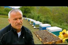 Αποκαλύπτοντας το χρυσό μυστικό της φύσης | Ο Γιώργος και η μαγεία των μελισσών του