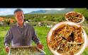 Μπατσαριά, η λατρεμένη πίτα της Ηπείρου (βιντεο )