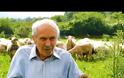 Μια Ζωή στα Πρόβατα | Ο μπάρμπα Σπύρος και το Εντυπωσιακό Κοπάδι του