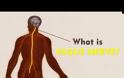 Απλά αναπνέουμε: Το σώμα μας έχει ενσωματωμένο ένα καταπραϋντικό για το στρες - το πνευμονογαστρικό νεύρο ή Vagus nerve