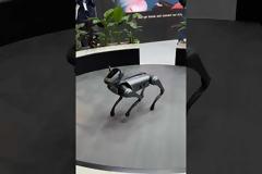 Τα ρομπότ έκπληξη του Mobile World Congress ΜΕ Α.Ι.