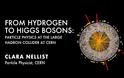 Από το υδρογόνο στo μποζόνιo Higgs