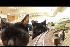 ΤΑ ΠΙΟ ΠΕΡΙΕΡΓΑ TECH ΜΑΓΑΖΙΑ ΣΤΟ ΚΟΣΜΟ- ΣΤΗΝ ΙΑΠΩΝΙΑ ΜΠΑΙΝΕΙΣ ΣΕ ΕΛΕΓΧΟΜΕΝΟ ΧΩΡΟ ΚΑΙ ΚΛΕΒΕΙΣ ΟΤΙ ΘΕΣ ΓΙΑ 1 ΛΕΠΤΟ