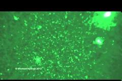 UFO δραστηριότητα πάνω από Όρεγκον - Νοέμβριος 2012