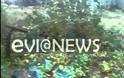 Μύτικας: Αυτοκίνητο καρφώθηκε σε σπίτι - Νεκρός ο οδηγός!