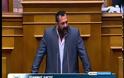 Σκληρή απάντηση της Χρυσής Αυγής στον Άδωνι Γεωργιάδη..Βίντεο