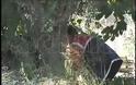 Θρήνος και οδύνη για το χαμό του 33χρονου στην Πάτρα που κρεμάστηκε - «Δεν αντέχω άλλο μάνα» [video]