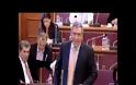 Καπερνάρος σε Μανιτάκη: Ευτελίζετε το νομοθετικό έργο