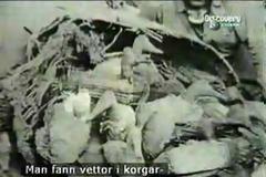 Γίγαντες στην αρχαιότητα - Τα ευρήματα που αρνείται να κατατάξει η Παλαιοντολογία