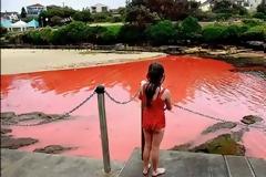 Η... ματωμένη θάλασσα! (pics+video)