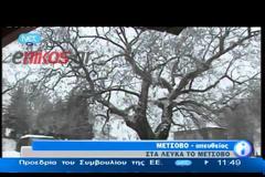 Το Μέτσοβο στα λευκά