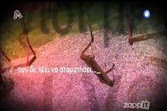 Φως στο Τούνελ: Η υπόθεση που έχει παγώσει την κοινή γνώμη
