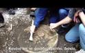 21η ΔΕΚΕΜΒΡΙΟΥ: Η ΣΥΝΤΕΛΕΙΑ; (VIDEO)