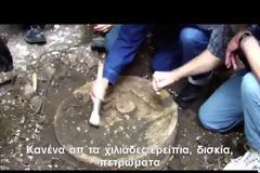 21η ΔΕΚΕΜΒΡΙΟΥ: Η ΣΥΝΤΕΛΕΙΑ; (VIDEO)