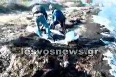 Η θάλασσα ξέβραζε πτώματα στη Λέσβο-Βίντεο με σκληρές εικόνες