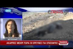 ΣΥΝΕΧΙΖΟΝΤΑΙ ΟΙ ΕΡΕΥΝΕΣ ΓΙΑ ΑΚΟΜΗ ΕΠΤΑ ΑΓΝΟΟΥΜΕΝΟΥΣ ΜΕΤΑΝΑΣΤΕΣ (VIDEO)