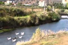 Η κρίση ... βοηθάει το περιβάλλον!