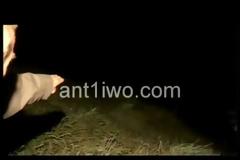 Πτώμα σε πλήρη αποσύνθεση σε γκρεμό 700 μέτρων [Video]