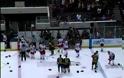 Άγριο ξύλο στον πάγο! Παίκτης έκανε ντου στον πάγκο της αντίπαλης ομάδας!
