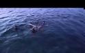 2505 - Αγιασμός των υδάτων. Video από 4 μοναστήρια του Αγίου Όρους