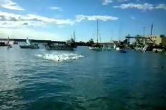 Διεξήχθη ο Αγιασμός των υδάτων στην Καλαμάτα