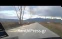 Σοκ: Επιδρομή για καυσόξυλα στο δρόμο Ευλάλου-Θαλασσιάς. Δεν υπάρχουν πια λεύκες !