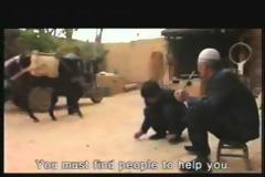 Σε σπηλιές ζουν 30.000.000 Κινέζοι! [video]