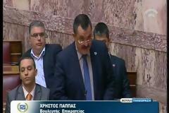 Η Χρυσή Αυγή για τις νέες προκλήσεις των αλβανών - ΒΙΝΤΕΟ