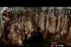 Αλήθειες που πονάνε - Ένα ρεπορτάζ για την ασφάλεια των τροφίμων που ενδιαφέρει όλους
