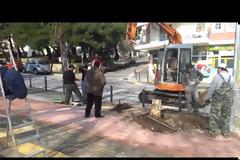 Έκοψαν δέντρα σε δρόμο της Ξάνθης-Διαμαρτυρίες των κατοίκων [video]