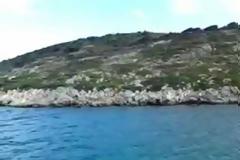 Λιμενικός πυροβολεί αγριοκάτσικα σε νησίδα!..Διατάχθηκε ΕΔΕ..Βίντεο