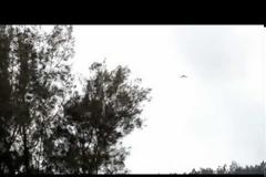 Οι σημαντικότερες θεάσεις ΑΤΙΑ του Ιανουαρίου 2013