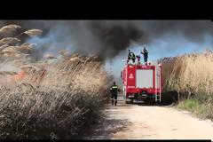 Ιστιαία: Το τηλεφώνημα στην πυροσβεστική θύμιζε καλοκαίρι!