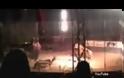 Έχασε τη ζωή του σε τσίρκο στο Μεξικό [video]