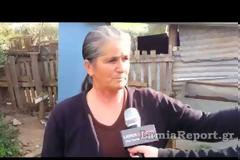 Λαμία: Αγέλη αδέσποτων σκυλιών κατασπάραξε πρόβατα