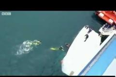 Τραγωδία σε κρουαζιερόπλοιο: 5 νεκροί, ανάμεσα στους τραυματίες και 2 Έλληνες