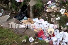 “Βομβαρδίστηκε” από τόνους σκουπιδιών η Ξάνθη! [video]