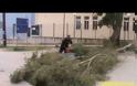 Παντοκράτορας : Πτώσεις δέντρων -Κινδυνεύουν μαθητές από την αδιαφορία του Δήμου [video]