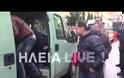 Hλεία: ...και δαρμένοι - Συνέλαβαν τους εργολάβους δακοκτονίας (photos & video)