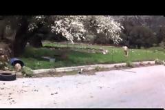 Νέα στοιχεία για την δολοφονία του 51χρονου στ’Ασκύφου