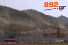 Έπνιξε την Ηγουμενίτσα η γύρη των πεύκων. Καθησυχαστικοί οι ειδικοί για τις αλλεργίες