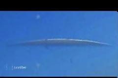 UFO «συνοδεύουν» γήινα αεροσκάφη!