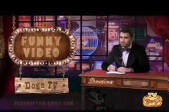 Dogs TV: Η πρώτη διαδικτυακή club εκπομπή στην Ελλάδα είναι γεγονός