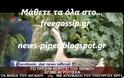 Aγρότισσα σε βουνό έξω από τον Γαλατά έγινε το πρώην «κορίτσι του Θέμου»