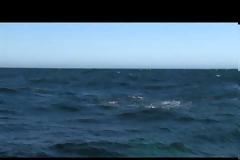 VIDEO: Φάλαινα εκτόξευσε ουράνιο τόξο !